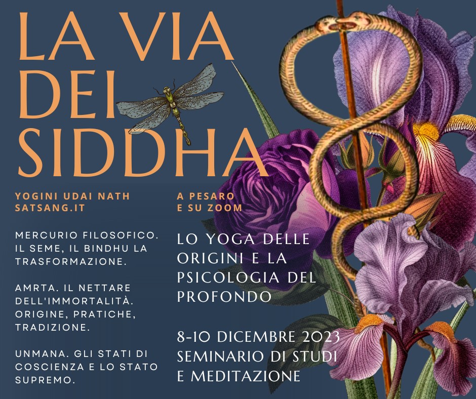 la via dei Siddha seminario pesaro dicembre 2023